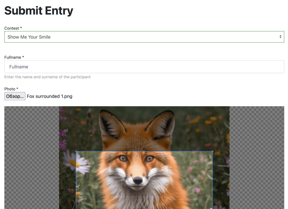 Submit entry