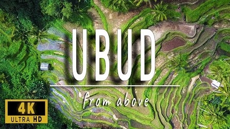 Bali from above | a drone adventure